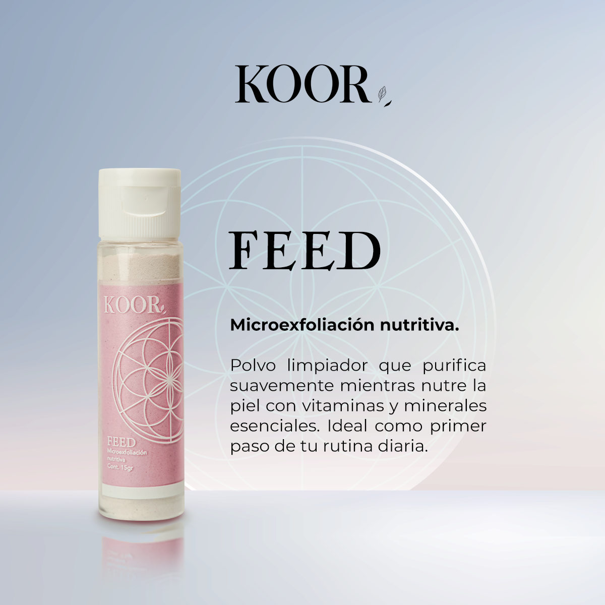 FEED