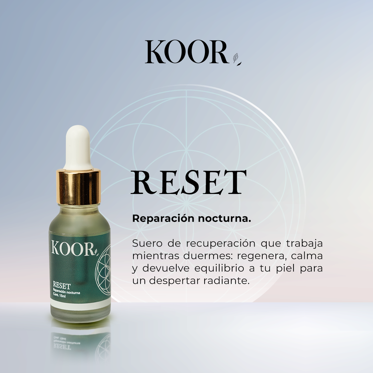 RESET